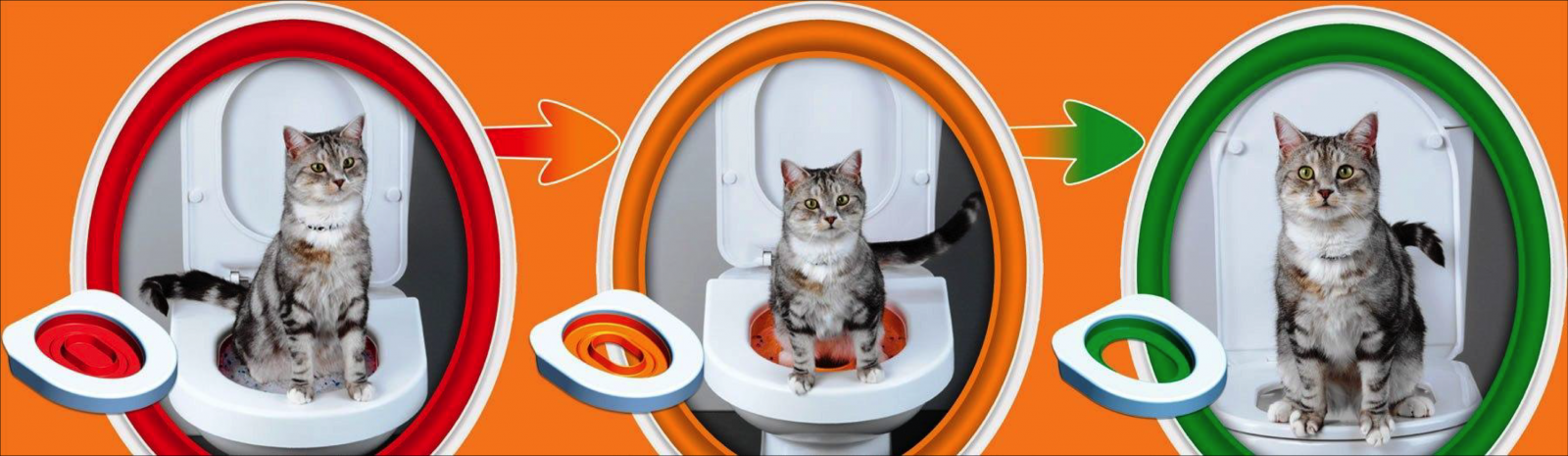 Litter Kwitter - система за обучение на котки