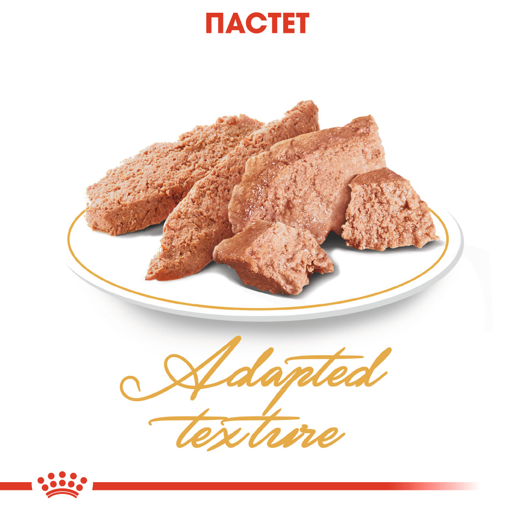 Royal canin - persian - мокра храна в пауч за котки персийски над 12 месеца 12х85гр