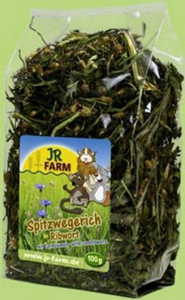 Jr farm – ribwort – живовлек за гризачи, здравословна храна за всеки ден 100 гр.