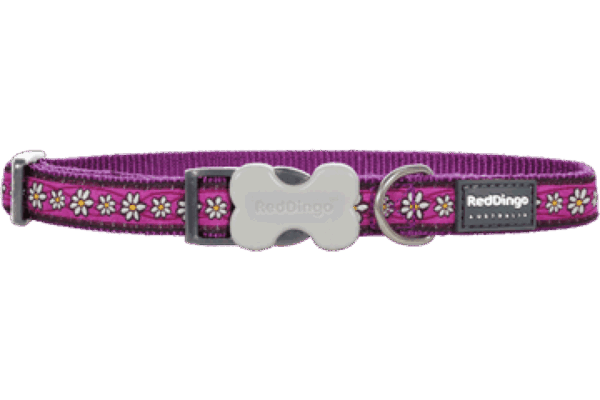 Red dingo – collar daisy chain purple – нашийник, лилав на цветчета – различен размер
