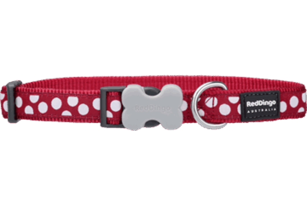 Red dingo – collar white spots red – нашийник, червен на бели точки – различен размер