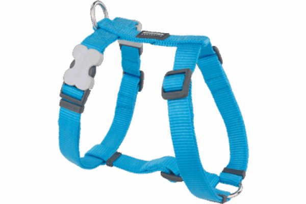 Red dingo – dog harness classic turquoise – нагръдник, тюркоаз – различен размер