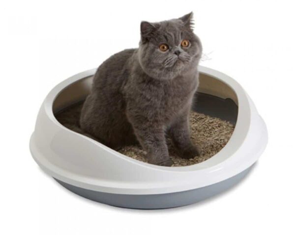 Котки - Savic – Figaro – котешка тоалетна с висок борд; 55 cм x 48,5 cм x 15,5 cм