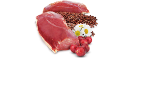 Консерви за котка - N&D Quinoa Urinary with Duck & Cranberry – консерва за котки без зърнени култури за здрав уринарен тракт с патешко, киноа, червена боровинка и лайка 80 гр