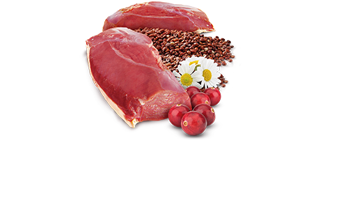 504_05_ND-QUINOA-URINARY-duck N&d quinoa urinary with duck & cranberry – консерва за котки без зърнени култури за здрав уринарен тракт с патешко, киноа, червена боровинка и лайка 80 гр