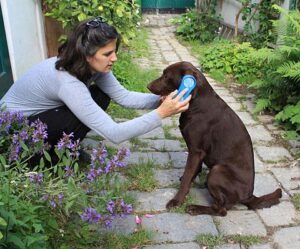Kerbl – magicbrush dog – четка за кучета с къса и средно дълга козина