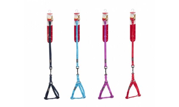 Camon – nylon set harness and leash – повод с нагръдник за куче с обиколка на гърдите 25 – 35 см. - различни цветове