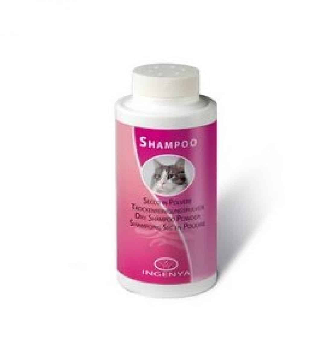 Camon – ingenya dry shampoo powder – сух шампоан 150 гр.