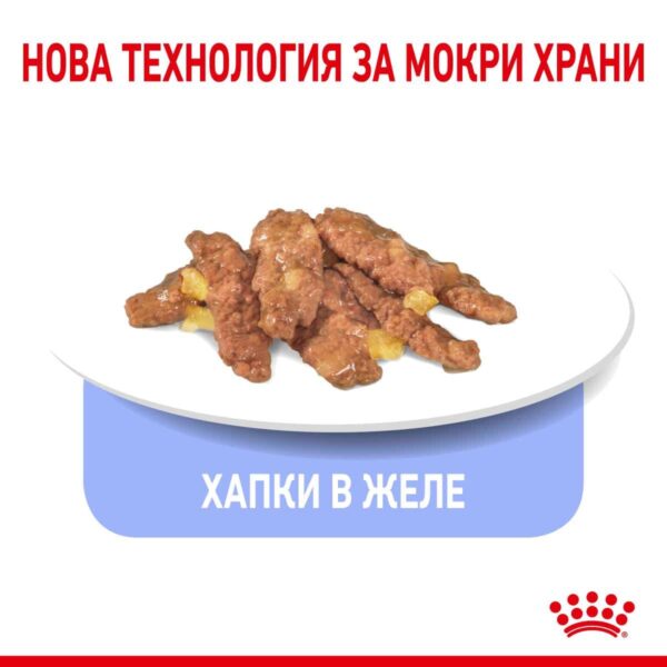 Royal Canin - Royal Canin – Indoor in Jelly – хапки в желе за котки над 1 година, живеещи на закрито 12х85г