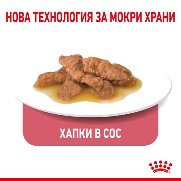 Royal Canin - Royal Canin – Indoor in Gravy – хапки в сос грейви за кастрирани котки над 1 година живеещи на закрито 12х85г