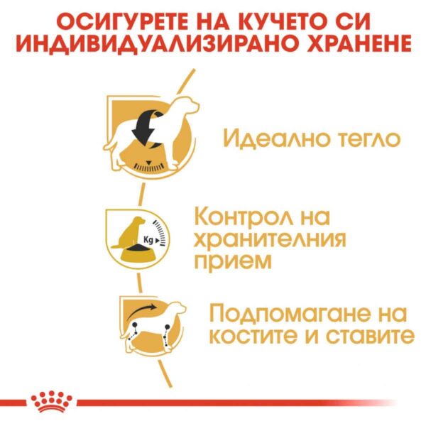 Royal Canin - Royal Canin – Beagle Adult – храна за куче Бигъл над 12 месеца