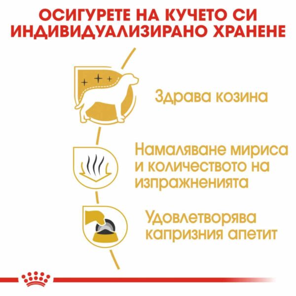 Royal Canin - Royal Canin – Maltese Adult – храна за куче Малтийски бишон над 10мес.