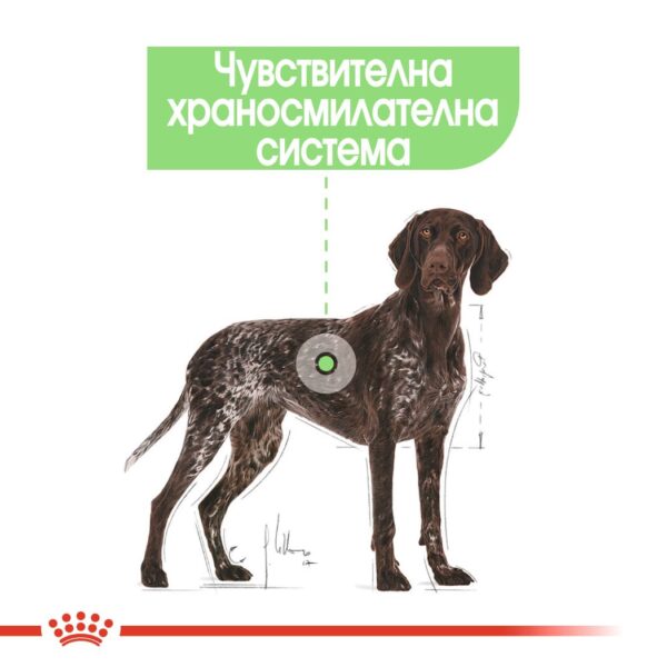 Royal Canin - Royal Canin – Maxi Digestive Care – суха храна за кучета с чувствителна храносмилателна система, от големи породи