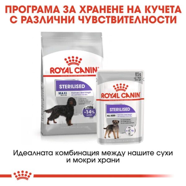 Royal Canin - Royal Canin – Maxi Sterilised – суха храна за кастрирани кучета от едри породи 12кг