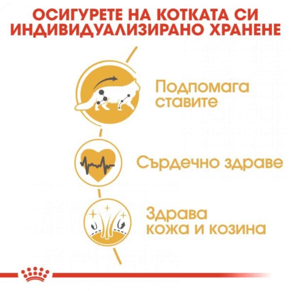 Royal Canin - Royal Canin – Maine Coon – мокра храна в пауч за котки мейн куун над 12 месеца 12х85гр