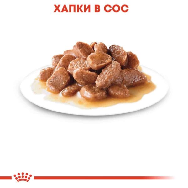 Royal Canin - Royal Canin – Light Weight Care – пълноценна храна за котки склонни към напълняване 12х85гр
