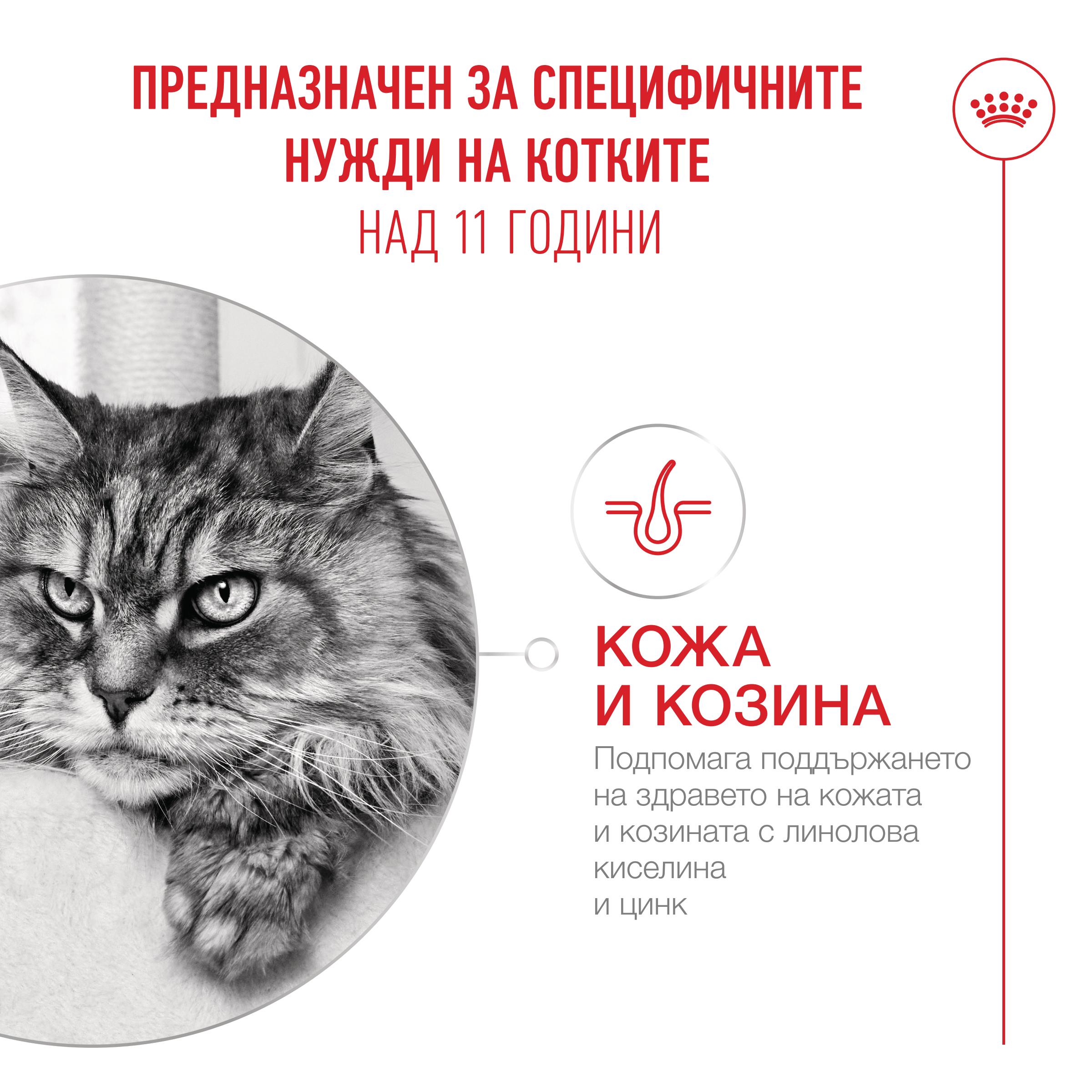 RC-FHN-Ageing-12InGravy-CV-2-bg_BG.pdf Royal canin ageing 11+ – пълноценна мокра храна за котки 11+ хапки в сос 12×85гр