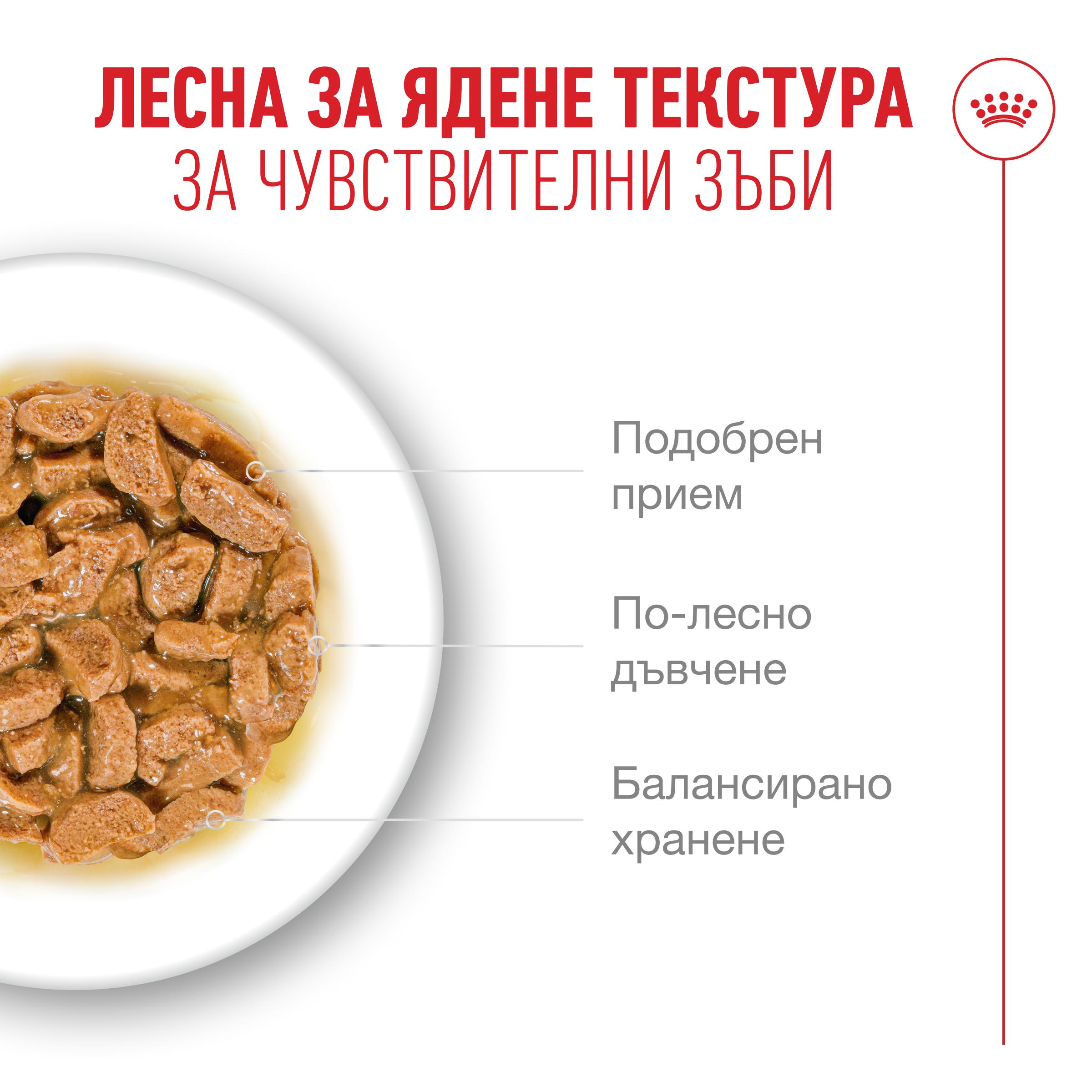 RC-FHN-Ageing-12InGravy-CV-3-bg_BG.pdf Royal canin ageing 11+ – пълноценна мокра храна за котки 11+ хапки в сос 12×85гр