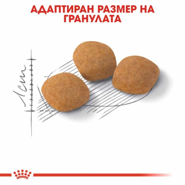 Royal Canin - Royal Canin – Exigent Aroma – суха храна за много капризни котки, които обичат храна със силен аромат