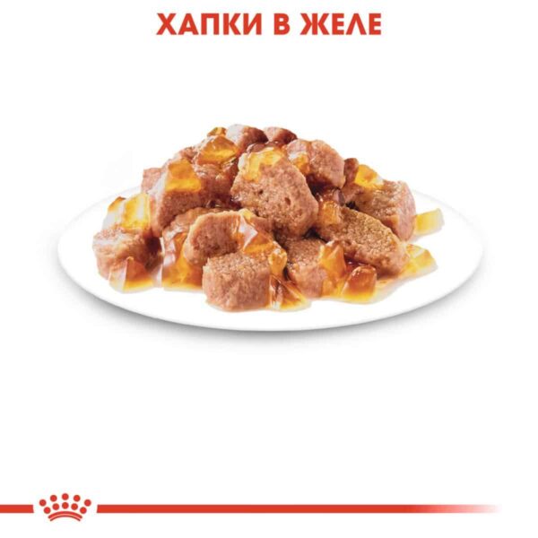 Royal Canin - Royal Canin – Instinctive in Jelly – хапки в желе за котки над 1 година 12х85гр