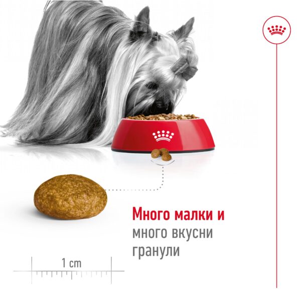 Royal Canin - Royal Canin X-Small Adult – за кучета от миниатюрните породи над 10 месеца