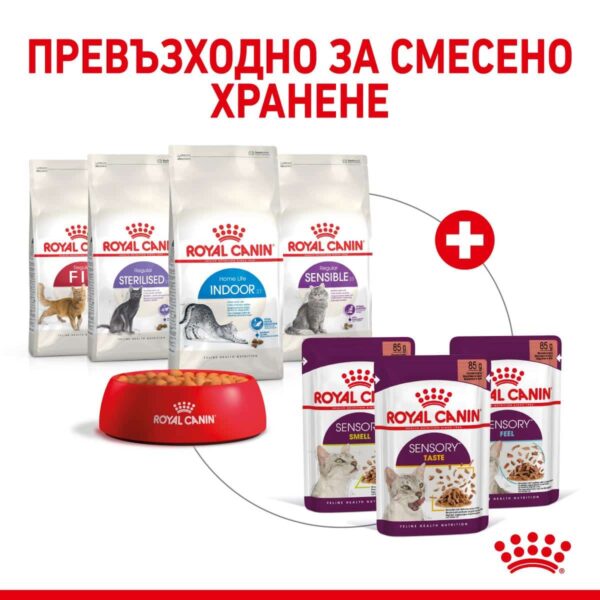 Royal Canin - Royal Canin – SENSORY SMELL in GRAVY – Пълноценна мокра храна със сос в пауч за котки в зряла възраст над 1 година 12x85g