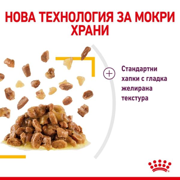 Royal Canin - Royal Canin – SENSORY TASTE in JELLY – Пълноценна мокра храна хапки в желе в пауч за котки в зряла възраст над 1 година 12x85g