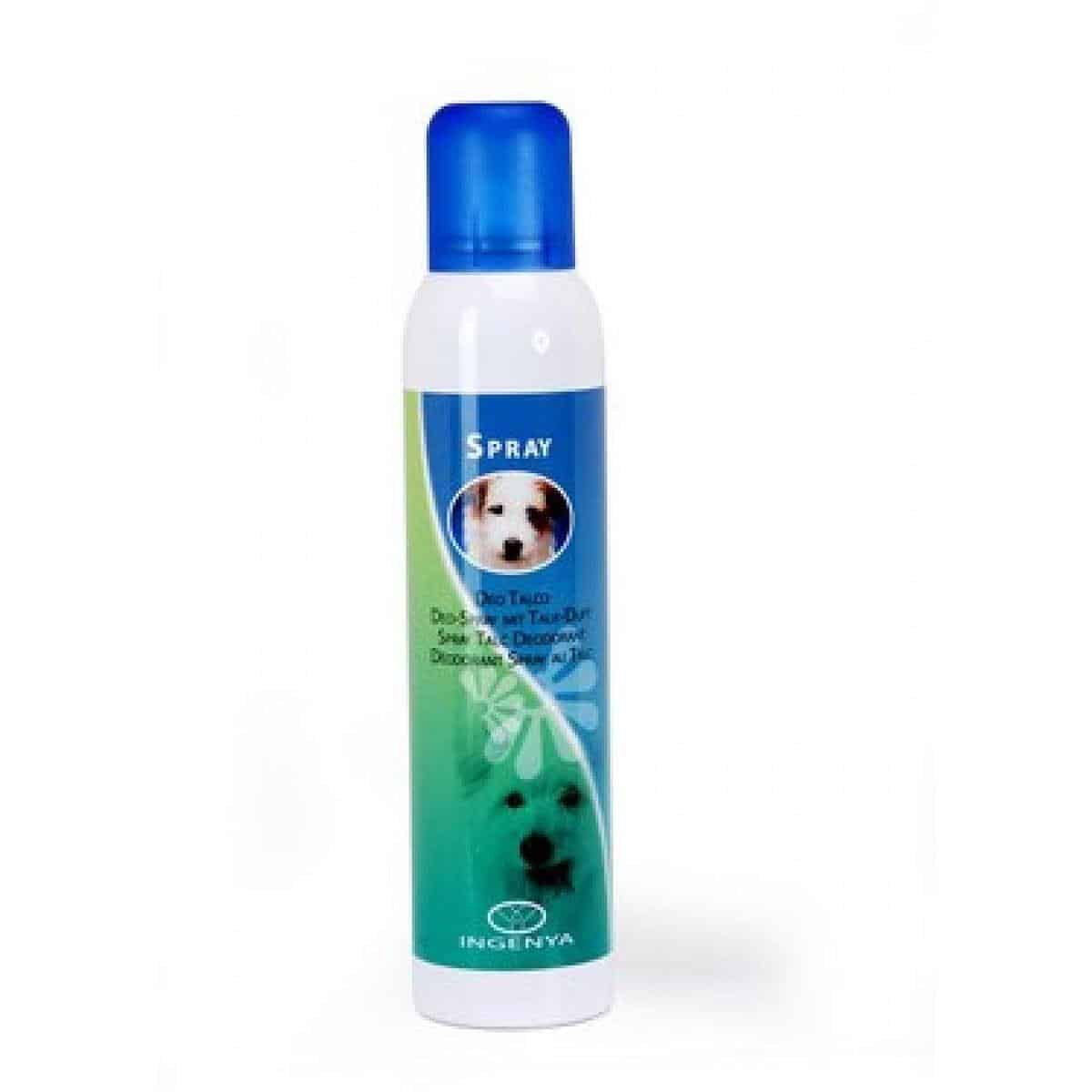 Camon – ingenya deo talc spray – дезодорант с талк 250мл.