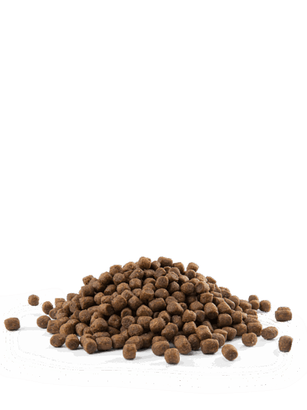Versele laga – opti life puppy mini – балансирана храна с пиле за дребни породи кученца