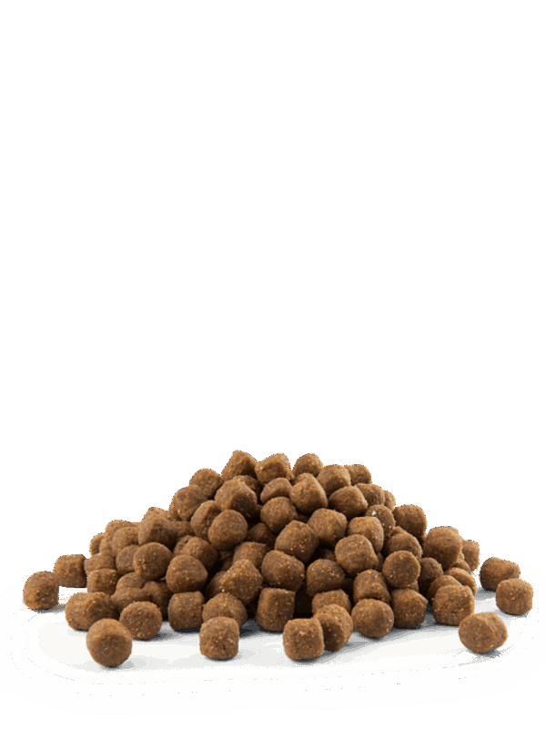 Versele Laga  – Opti Life Puppy Sensitive All Breeds – Балансирана храна със сьомга за чувствителни кученца от всички породи