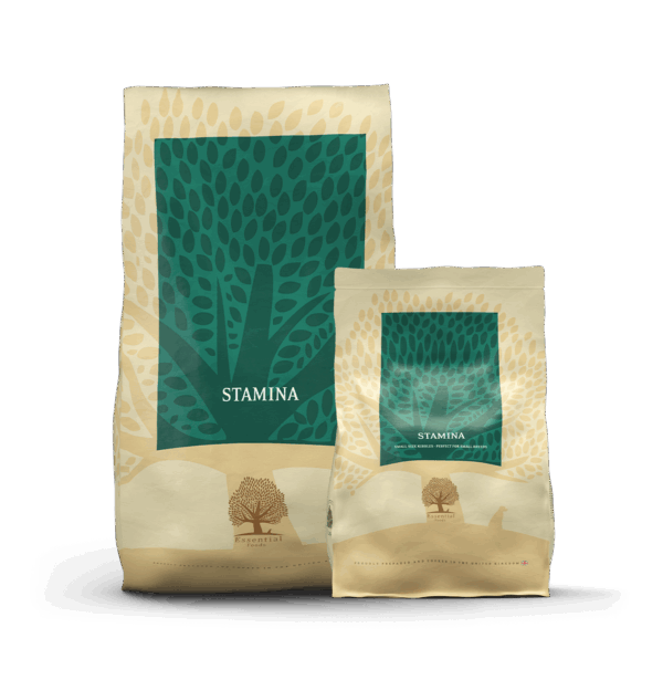 Essential stamina – тонизираща и високоенергийна храна за кучета от средни и големи породи на възраст над 18 месеца 12 кг