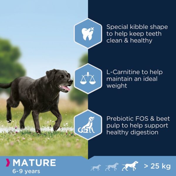 Eukanuba Mature Large Breed – суха храна за възрастни кучета над 6 години от големи породи 15кг
