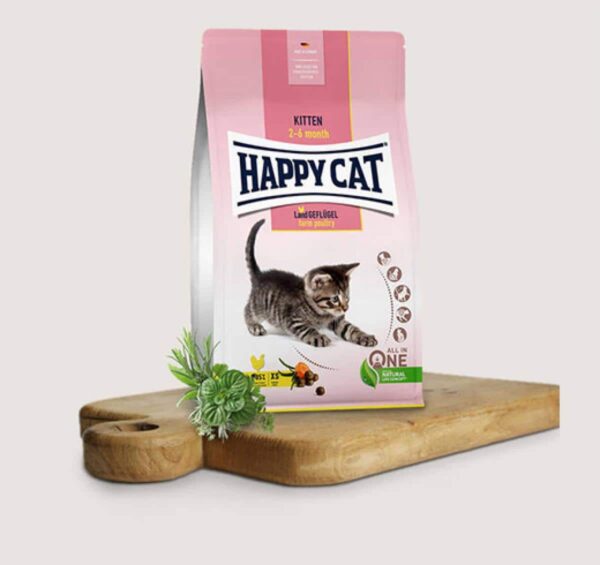Котки - happy cat – young kitten farm poultry – храна за подрастващи котенца с пилешко месо