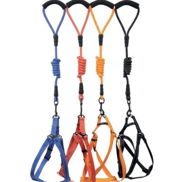 Camon – nylon dog harness and rope leash with reflective inserts – нагръдник с повод за средни кучета 25 мм. / 12 /1200 мм. – различни цветове