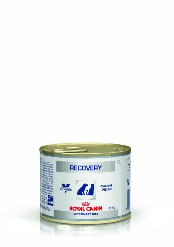 Лечебни консерви за котка - royal canin – recovery – диетична храна за котки и кучета, за възстановяване след боледуване 195 гр.
