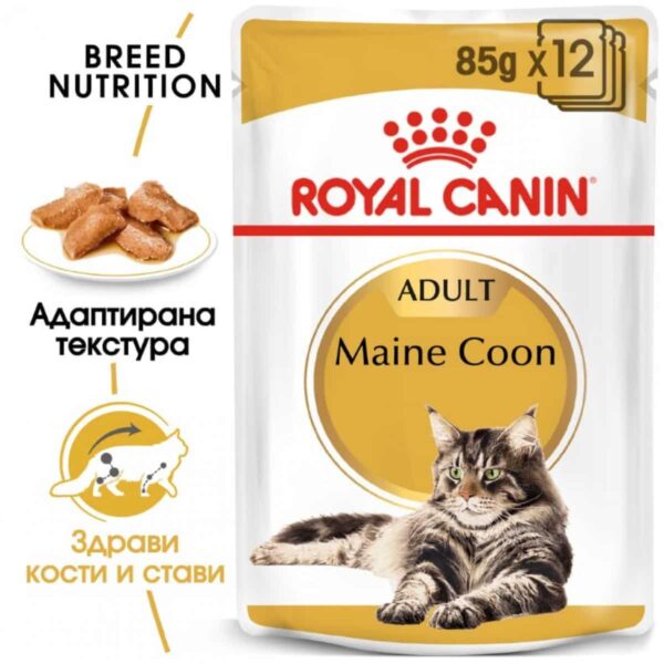 Royal canin - royal canin – maine coon – мокра храна в пауч за котки мейн куун над 12 месеца 12х85гр