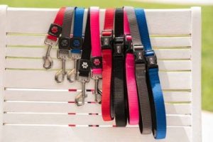 Gimborn - Gimborn – GimDog Harlem M – Повод за кучета 2.0 см /120 см – в различни цветове