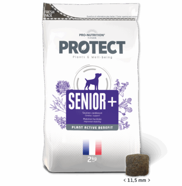 Pro-nutrition flatazor – protect senior+ – суха храна за възрастни кучета, за подобрена подвижност и надеждно храносмилане 2 кг
