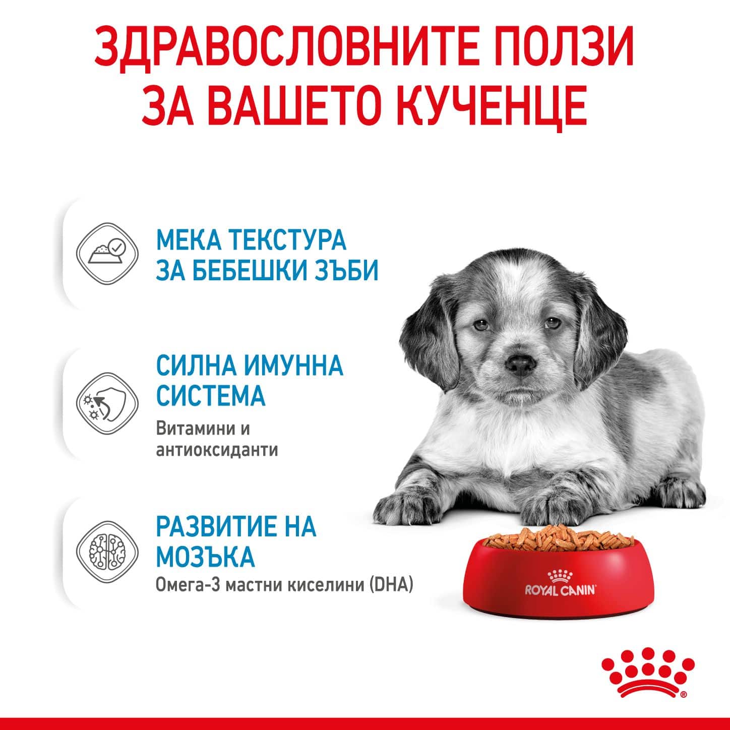 RC-SHN-MediumPuppy-Pouch-CV-3-bg_BG Royal canin – puppy medium pouch – пълноценна мокра храна в пауч за подрастващи кучета от средни породи 10×140 гр