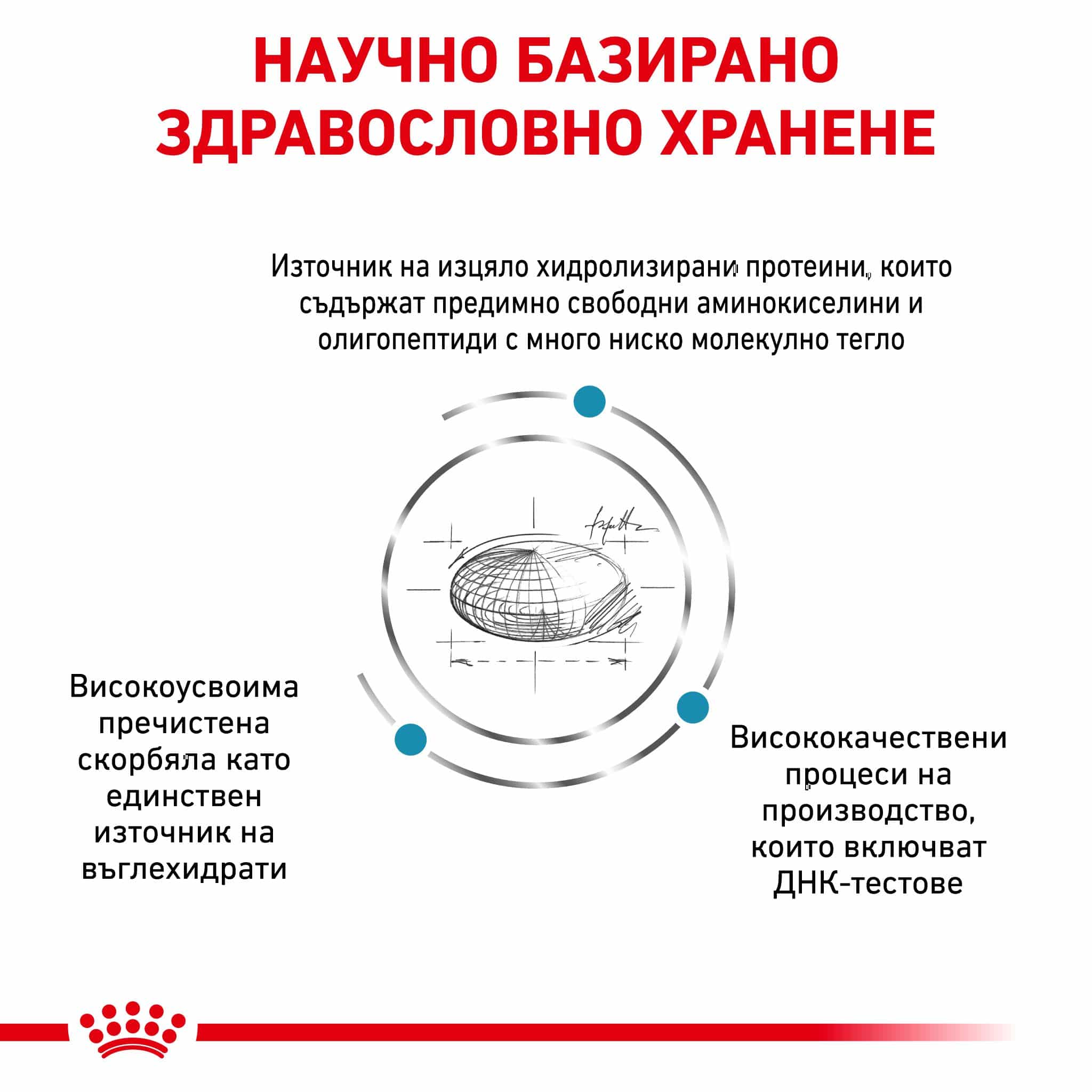 RC-VHN-AnallergenicSmallDog-CV-Eretailkit-2-bg_BG Royal canin – vhn anallergenic small dog – суха диетична храна за кучета, създадена за намаляване на непоносимостта към някои съставки и хранителни елементи