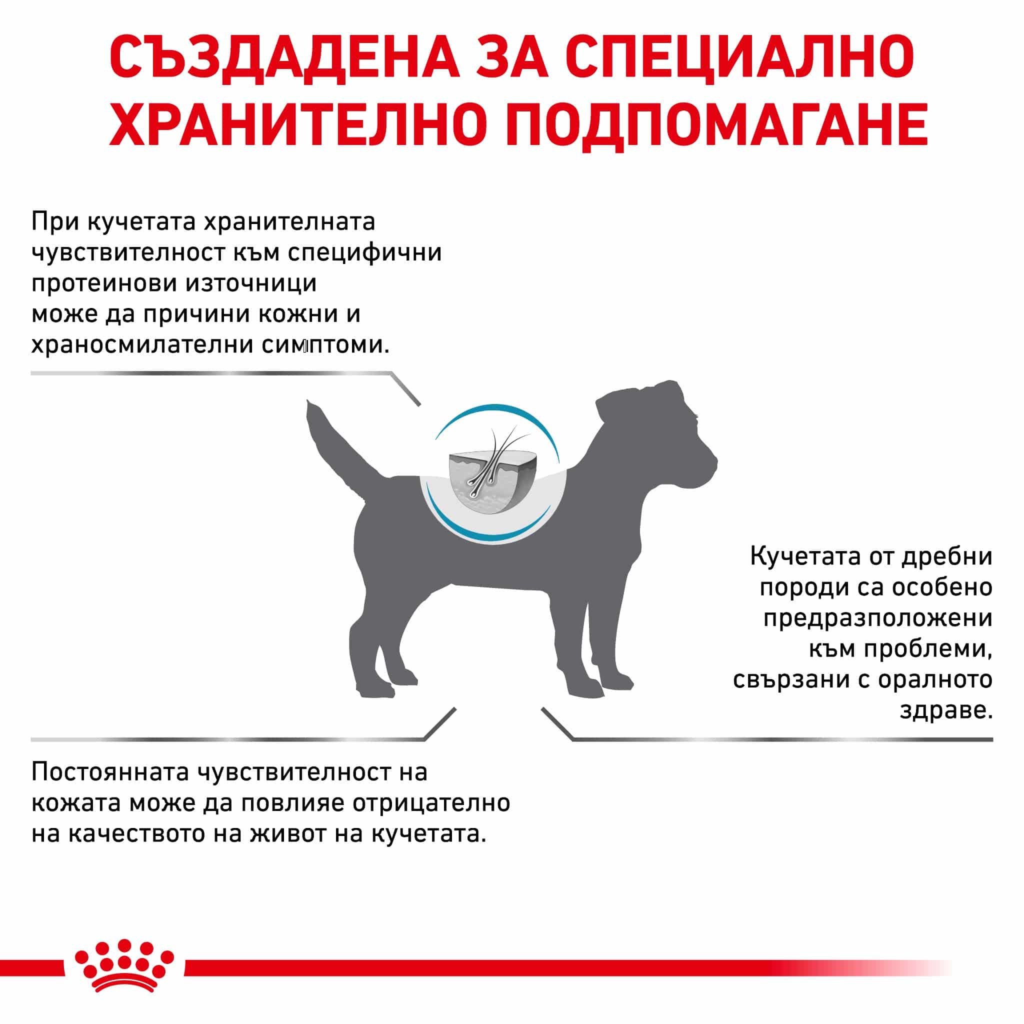 RC-VHN-AnallergenicSmallDog-CV-Eretailkit-7-bg_BG Royal canin – vhn anallergenic small dog – суха диетична храна за кучета, създадена за намаляване на непоносимостта към някои съставки и хранителни елементи