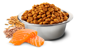 N&D Tropical Selection Dog Adult Mini Salmon and Tropical fruits – суха храна за кучета над 1 година от дребни породи със сьомга, спелта, овес и тропически плодове