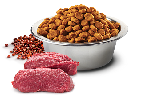 695_33_bowl-nd-quinoa-venison N&d quinoa skin and coat mini with venison – суха храна за кучета от дребни и мини породи с еленско месо, киноа, кокос и куркума