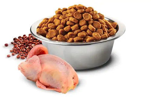 bowl-nd-quinoa-quail N&d quinoa skin and coat quail mini – суха храна за кучета, за здрава кожа и козина от дребни породи, с пъдпъдък, киноа, кокос, и куркума