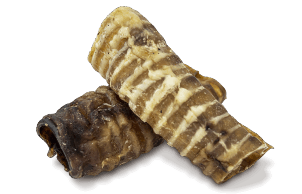 NATURAL Greatness - Natural Greatness Beef Trachea (Large) – Лакомство за куче 100% дехидратирана говежда трахея 100 г (Голяма)